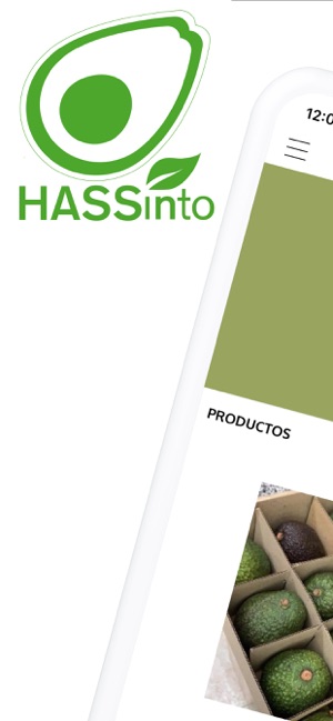 HASSinto