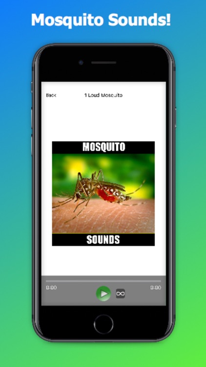 Real Mosquito Sounds!