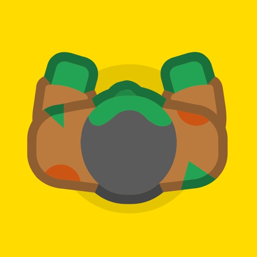 braains.io Icon