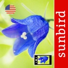 Top 41 Reference Apps Like Wildflower Id USA Photo Recognition Guide NE - Best Alternatives