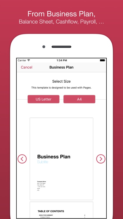 Business Templates for Pages