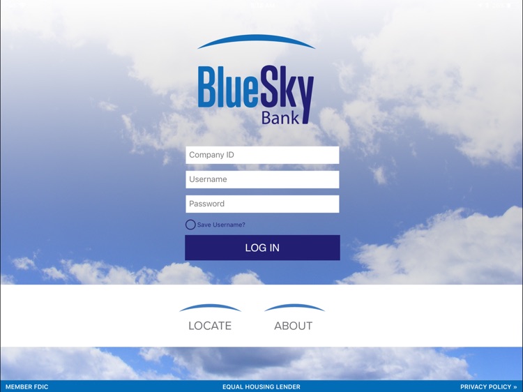 Blue Sky Business for iPad