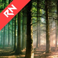 Relax Nature: Forest pour PC