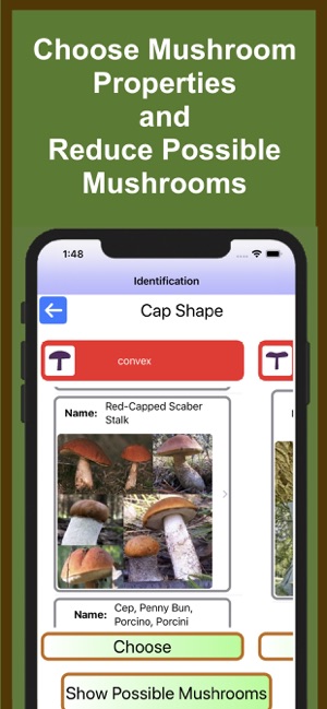 Forest Mushroom Identification(圖2)-速報App