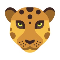 MORPH - Face Story & Flipagram PC 용