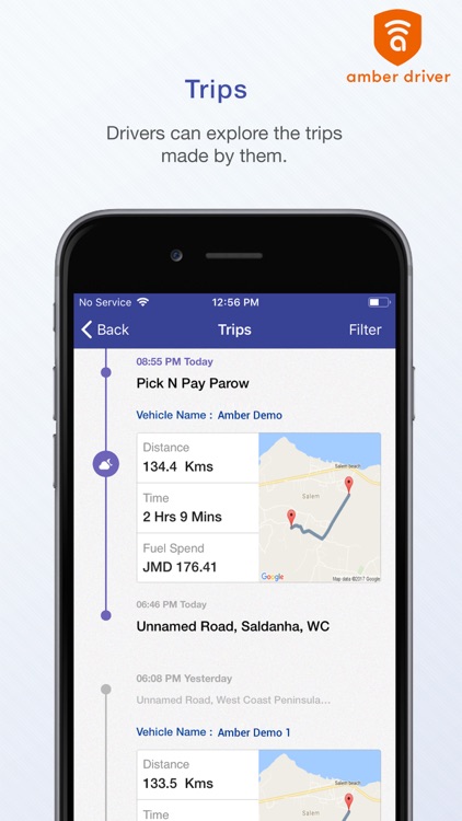Amber Driver screenshot-5