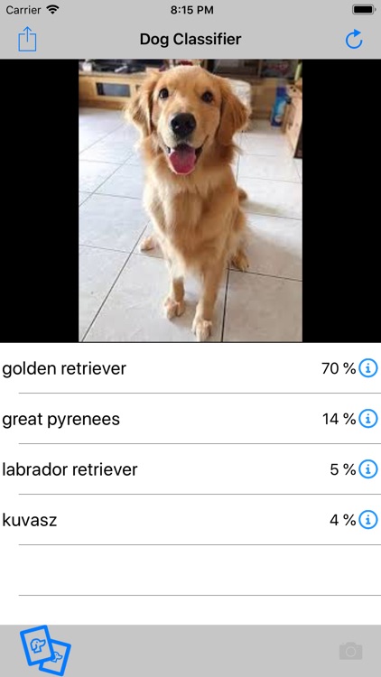 Dog Classifier screenshot-4