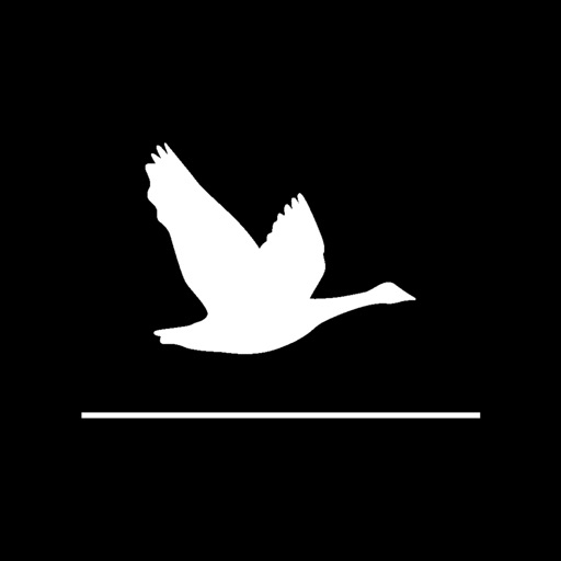 Goose Card Game Icon