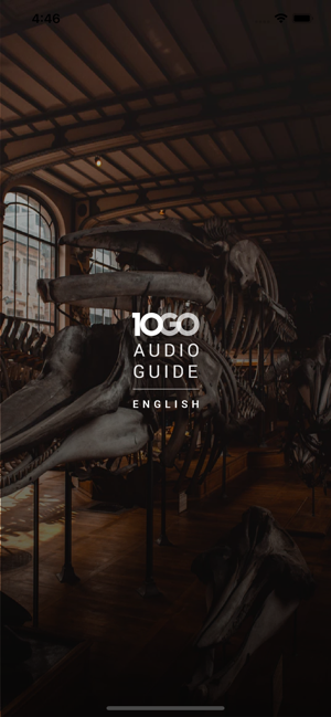 Audio Guide - Museum & Artwork