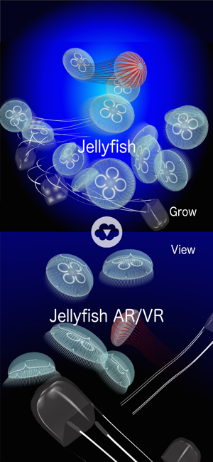 Jellyfish AR/VR(圖5)-速報App