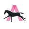 Download Amy Murphy's app to maximise your experience as an owner or as a general horse racing fan