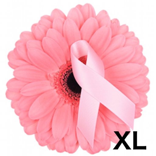 Breast Cancer Awareness Office icon