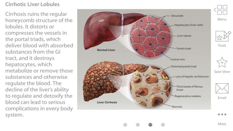 Physiology & Pathology screenshot-9