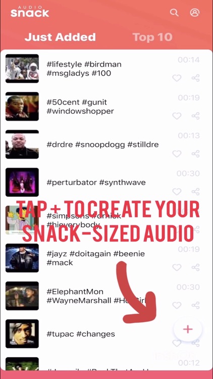 AudioSnack