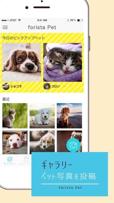 Screenshot #3 pour forista Pet / フォリスタ ペット