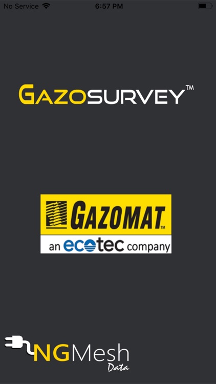 Gazosurvey