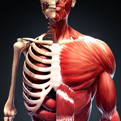 Discover Human Body AR
