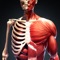 Let's learn human anatomy with our app