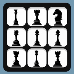 ChessBlocks-Find the identical