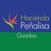 Hacienda Peñalisa Guadua