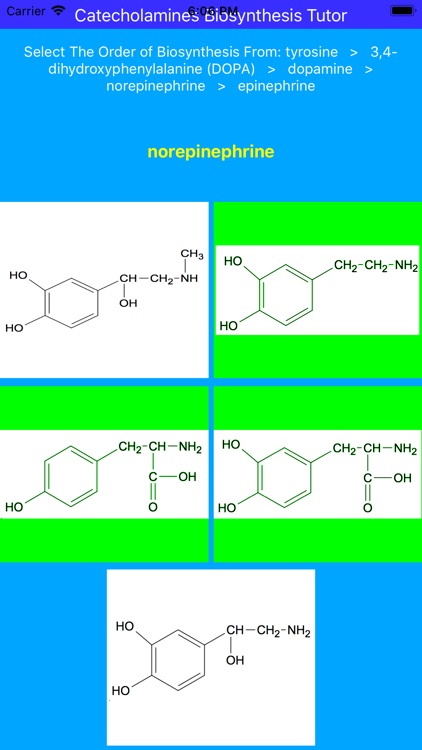 Catecholamines Synthesis Tutor screenshot-3