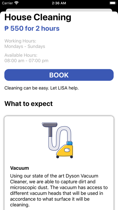 LISA Cleaning screenshot 2