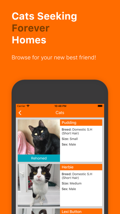 Screenshot #3 pour EDCH: Edinburgh Dog & Cat Home