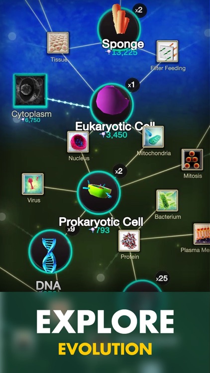 Cell to Singularity: Evolution
