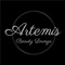 Artemis Beauty Lounge provides a great customer experience for it’s clients with this simple and interactive app, helping them feel beautiful and look Great