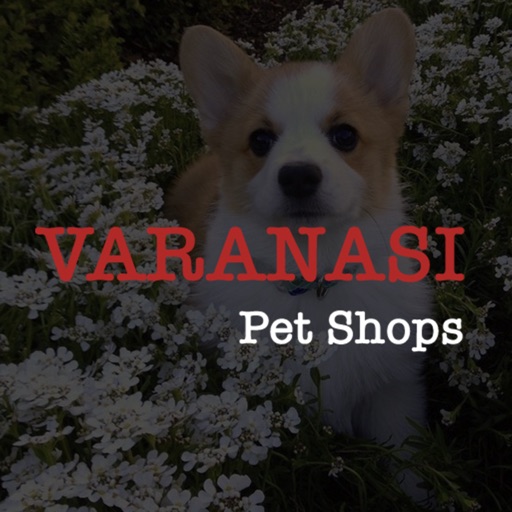 Varanasi Pet Shops