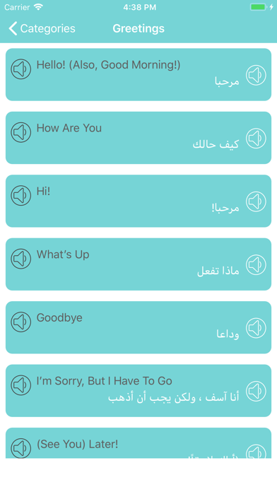 تعلم اللغة الانجليزية والعربية screenshot 2