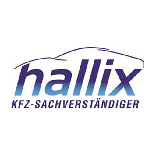 Unfallmanager Hallix