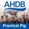 Practical Pig