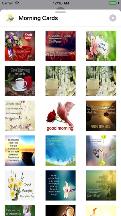 Morning Cards screenshot-9