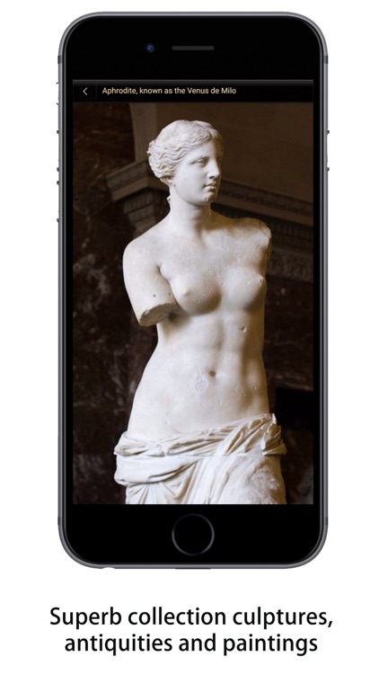 Louvre Visitor Full Edition