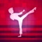 James Island's, School of Empty Hand Art presents this karate training companion app, allowing students to study and train at home more easily