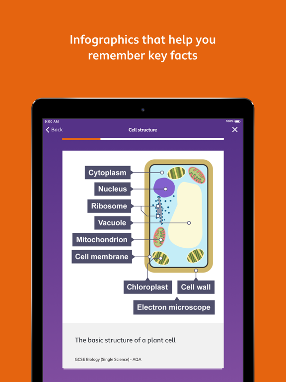 BBC Bitesize - Revisionのおすすめ画像4