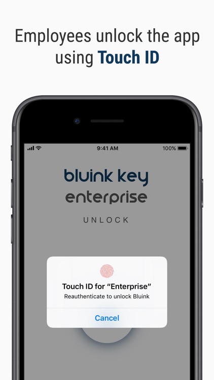 Bluink Key Enterprise screenshot-3