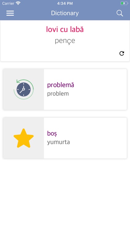 Romanian Turkish Dictionary screenshot-5