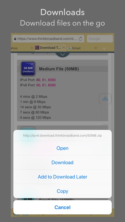 Perfect - private web browser screenshot-3