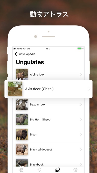 ハンター マップ 狩猟のガイドと猟場の位置情報 Iphoneアプリ Applion