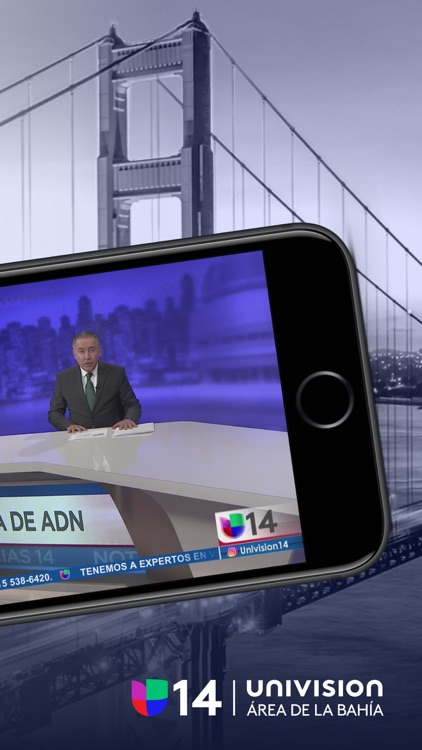 Univision 14 Área de la Bahía