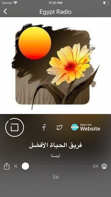 Egypt Radio - راديو مصر‎ screenshot-8