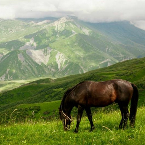 Русско-аварский разговорник