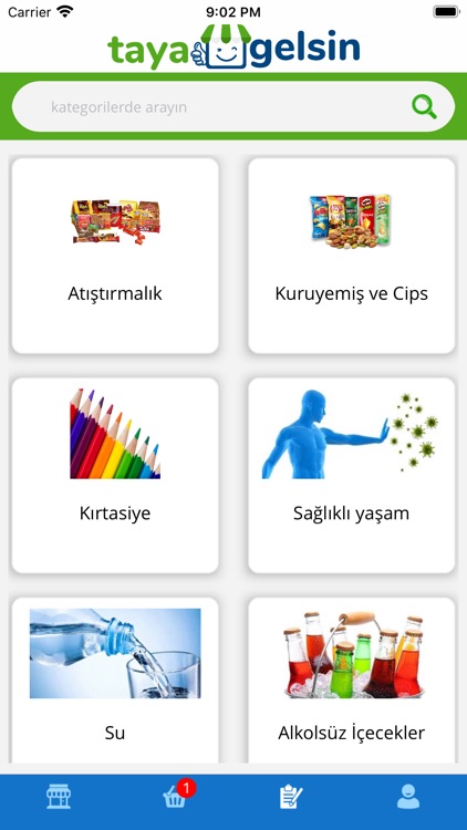 Taya Gelsin screenshot-4