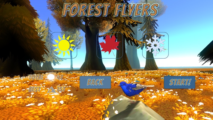 Forest Flyers screenshot-3