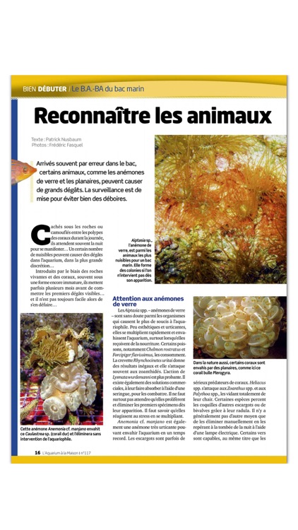 L'Aquarium à la Maison