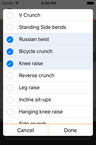 Ab & Core - Custom Workout - náhled