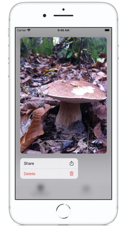 Track My Mushrooms screenshot-1