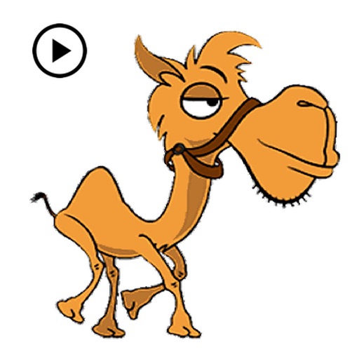 Animated Funny Camel Sticker icon